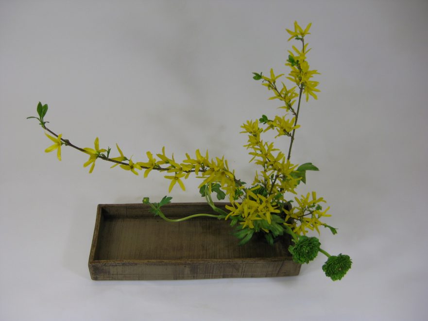 Ikebana, Sogetsu, Moribana (von Eugen Rausch)