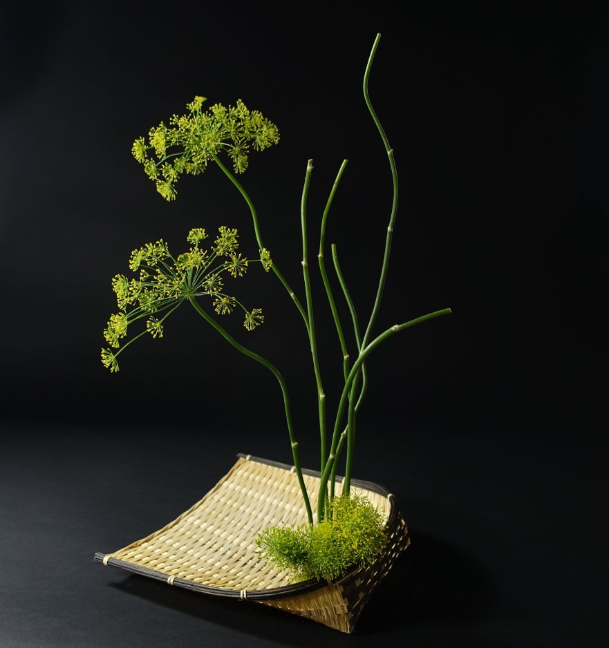 Ikebana, Sogetsu, freies Arrangement