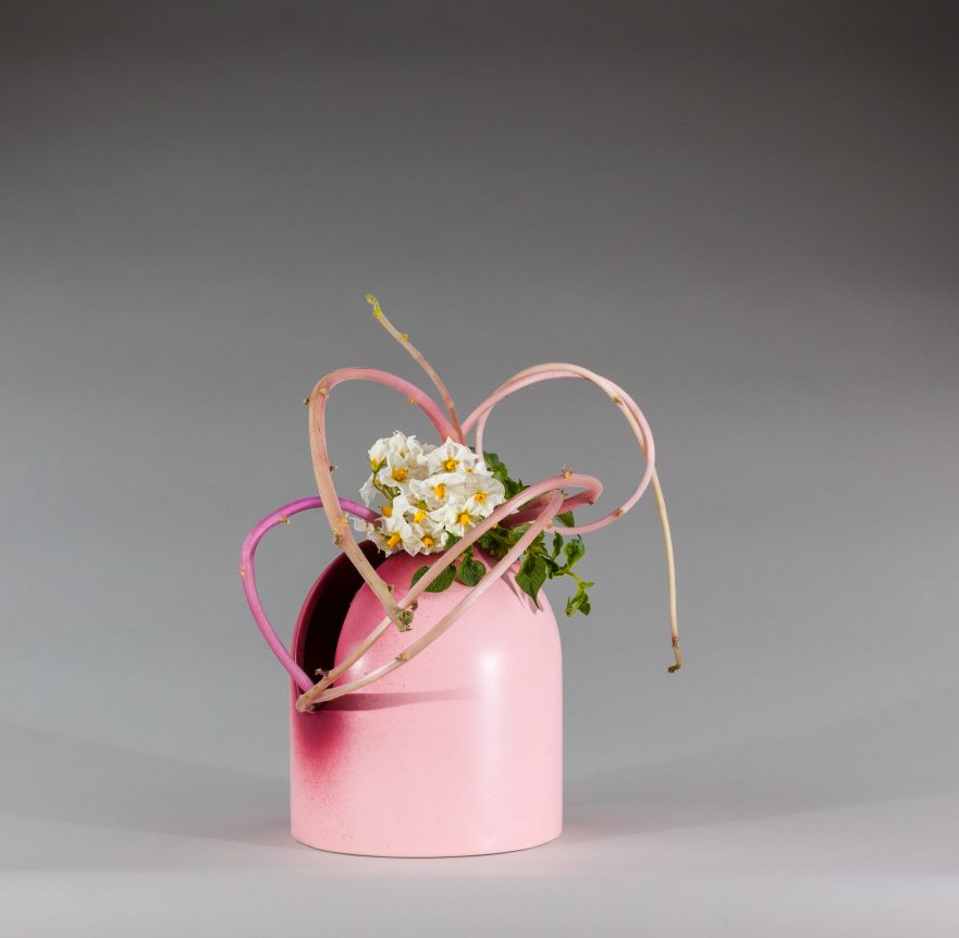 Ikebana, Sogetsu, Arrangements mit Kartoffeln, "Mit Blüten, Blättern und Trieben von Kartoffeln" (von Ayako Graefe)