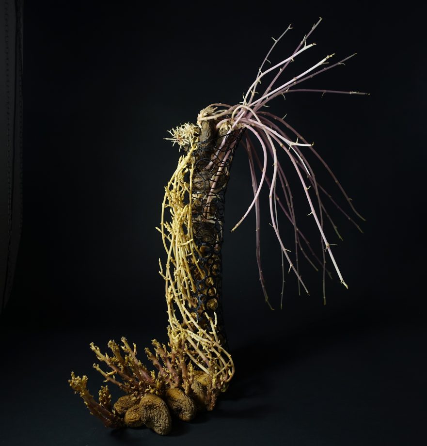 Ikebana, Sogetsu, Arrangements mit Kartoffeln, "Magische Welt mit Kartoffeln" (von Ayako Graefe)